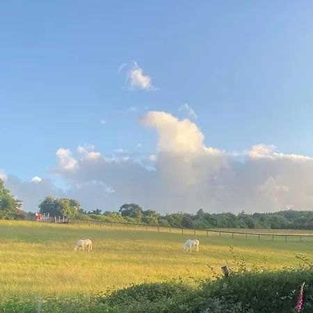 Beautiful Garden With Private Patio And Garden View 公寓