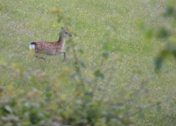 Beautiful Garden With Private Patio And Garden View 公寓